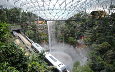 Anacle bags the Jewel (Changi Airport)